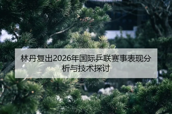 lin-dan-fu-chu-nian-guo-ji-ping-lian-sai-shi-biao-xian-fen-xi-yu-ji-shu-tan-tao-2-686.jpg