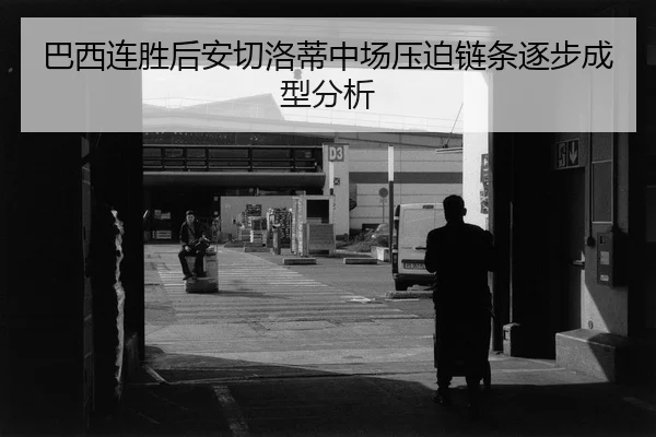 ba-xi-lian-sheng-hou-an-qie-luo-di-zhong-chang-ya-po-lian-tiao-zhu-bu-cheng-xing-fen-xi-2-611.jpg