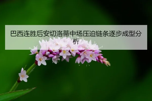 巴西连胜后安切洛蒂中场压迫链条逐步成型分析