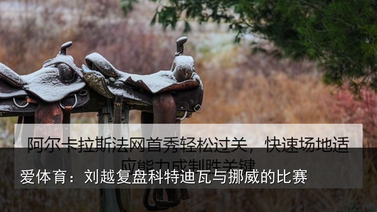 爱体育：刘越复盘科特迪瓦与挪威的比赛