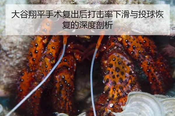 大谷翔平手术复出后打击率下滑与投球恢复的深度剖析