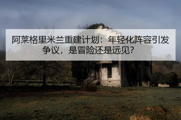 a-lai-ge-li-mi-lan-chong-jian-ji-hua-nian-qing-hua-zhen-rong-yin-fa-zheng-yi-shi-mao-xian-hai-shi-yuan-jian-2-258.jpg